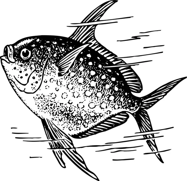 Svart Och Vit Vektor Illustration Fisk — Stock vektor