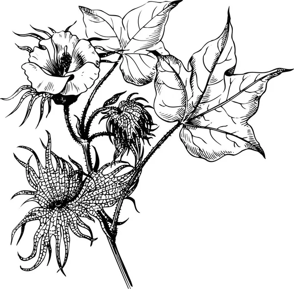 Ručně Kreslený Náčrt Květin Listí — Stockový vektor