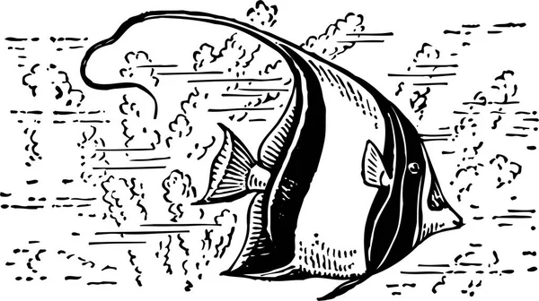 Ilustracja Wektorowa Ryb Tle — Wektor stockowy