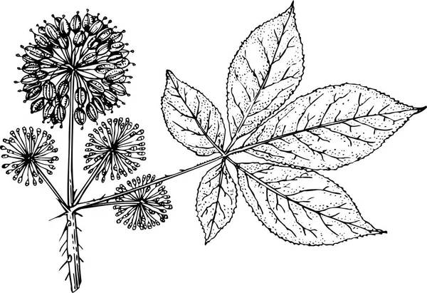 Векторний Набір Рук Намальований Лист Квіти — стоковий вектор