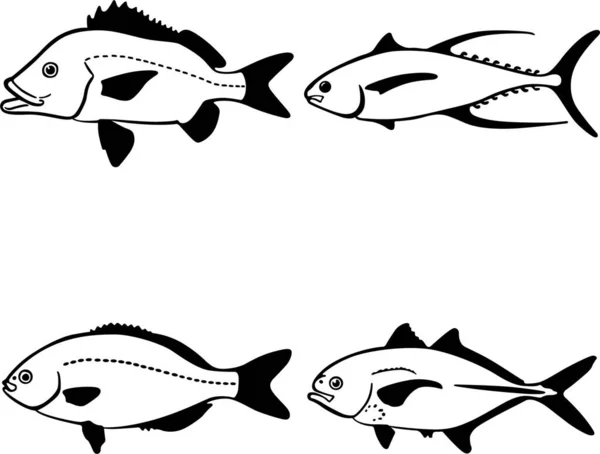 鱼类媒介图解的黑色轮廓 — 图库矢量图片