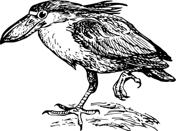 Ilustración Blanco Negro Pájaro — Archivo Imágenes Vectoriales