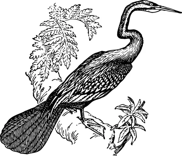 Ilustração Vetorial Pássaro Preto Branco — Vetor de Stock