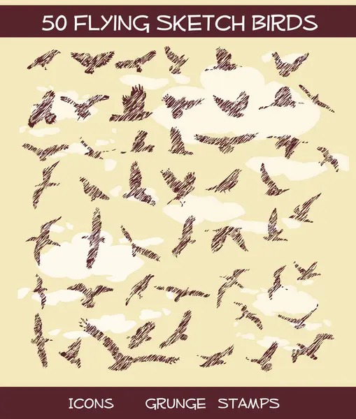 Set Vector Birds Sketches Vector Simple Design — Stock Vector
