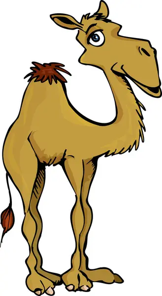 Desenhos Animados Camelo Engraçado Isolado Fundo Branco — Vetor de Stock