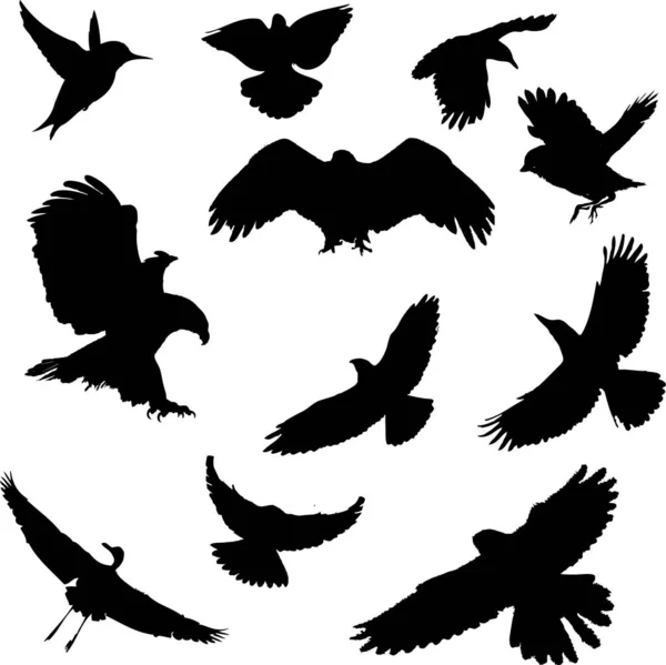 Schwarze Silhouette Fliegender Vögel — Stockvektor