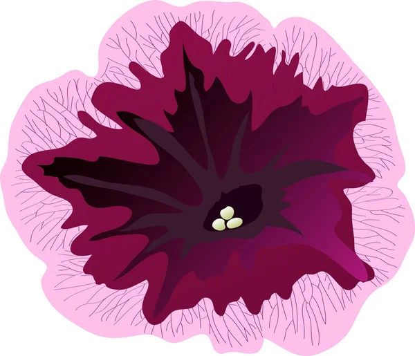 Fleur Violette Illustration Vecteur Sur Fond Blanc — Image vectorielle