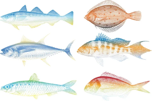 Набор Рыб Векторная Иллюстрация — стоковый вектор