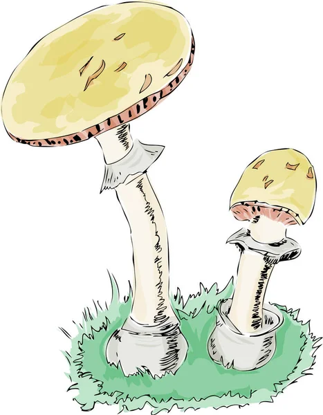 Imagem Desenhos Animados Cogumelos — Vetor de Stock