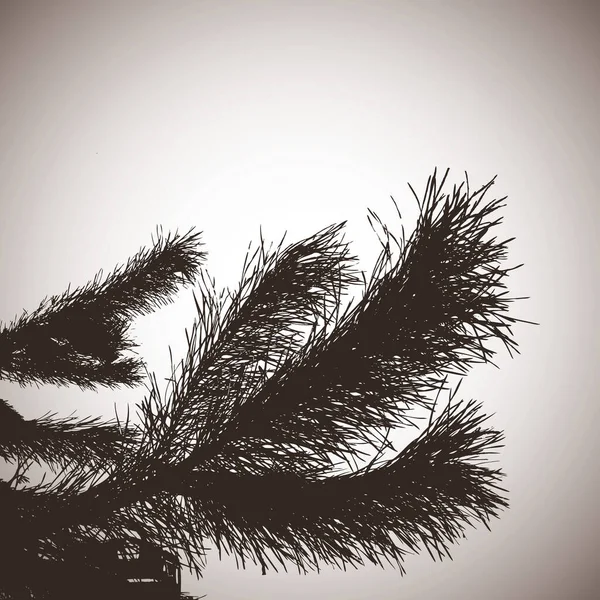 ファイアツリーの黒と白のシルエット ベクトルシンプルなデザイン — ストックベクタ