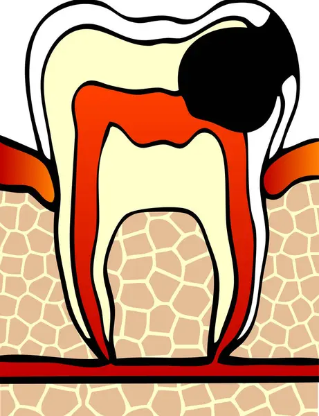 Ilustracja Wektora Zęba — Wektor stockowy