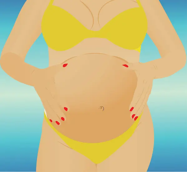 Vientre Mujer Embarazada Vector Ilustración — Archivo Imágenes Vectoriales