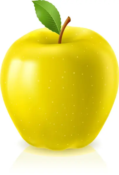Žluté Jablko Listy — Stockový vektor