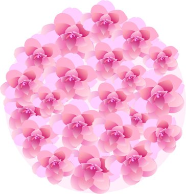 Beyaz arkaplanda pembe çiçekler