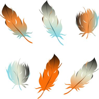 Bir dizi tüy. vektör illüstrasyonu.