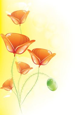 Beyaz üzerine kırmızı çiçekler