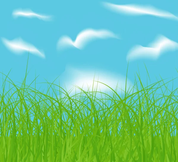 Campo Verde Vettoriale Primavera Cielo Nuvoloso Blu — Vettoriale Stock