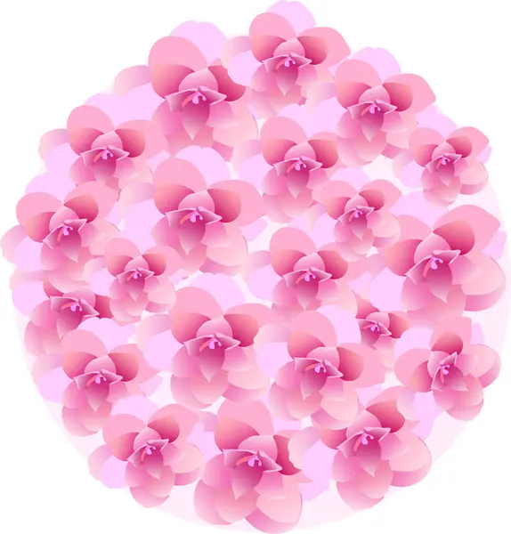 Roze Bloemen Een Witte Achtergrond — Stockvector