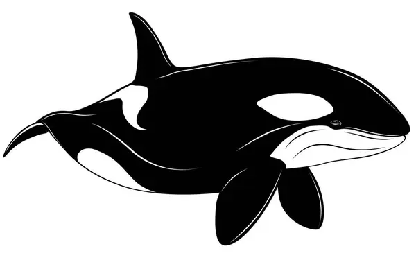 Vector Illustratie Van Zwarte Walvis Met Een Witte Achtergrond — Stockvector