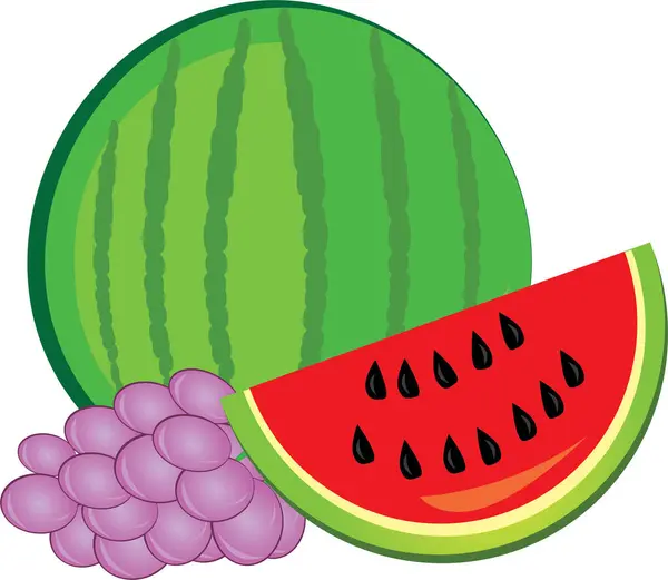 Frische Trauben Und Wassermelone Auf Weißem Hintergrund — Stockvektor