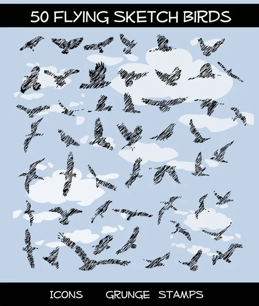 Set Birds Vector Illustration — Stock Vector
