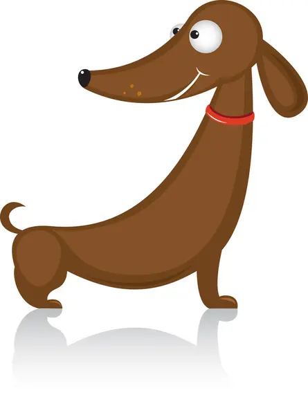 Cão Dachshund Dos Desenhos Animados Ilustração Vetorial Isolada — Vetor de Stock