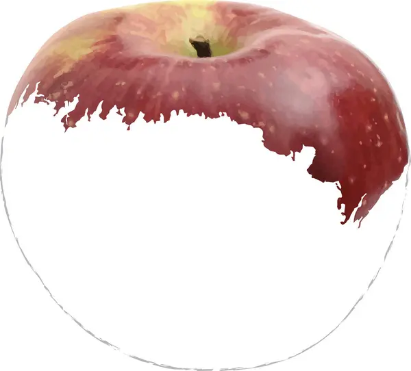 リンゴの半分は白い背景で隔離された塗りました — ストックベクタ