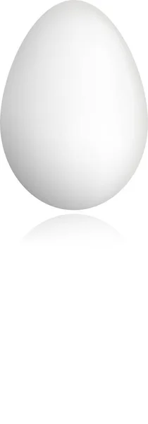 Яйцо Белом Фоне Векторная Простая Конструкция — стоковый вектор