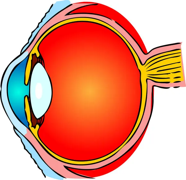 有红色眼球的眼睛 矢量图解 — 图库矢量图片