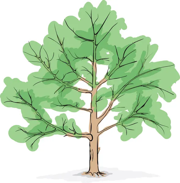 Зеленое Дерево Векторная Иллюстрация — стоковый вектор