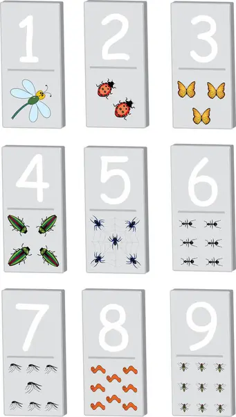 Set Van Verschillende Soorten Insecten Nummers Van Tot — Stockvector