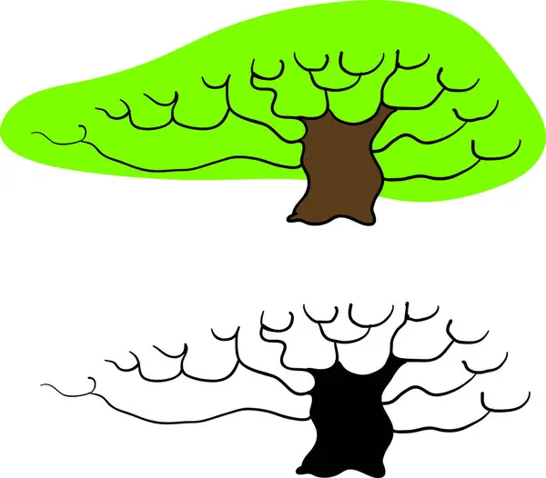 Baum Mit Blättern Vektor Auf Weißem Hintergrund — Stockvektor