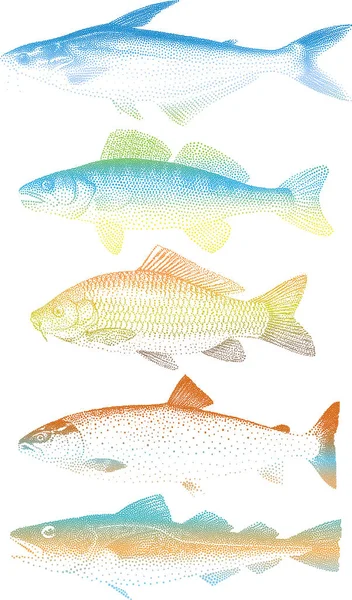 Набор Акварельных Рыб Ручной Рисунок — стоковый вектор