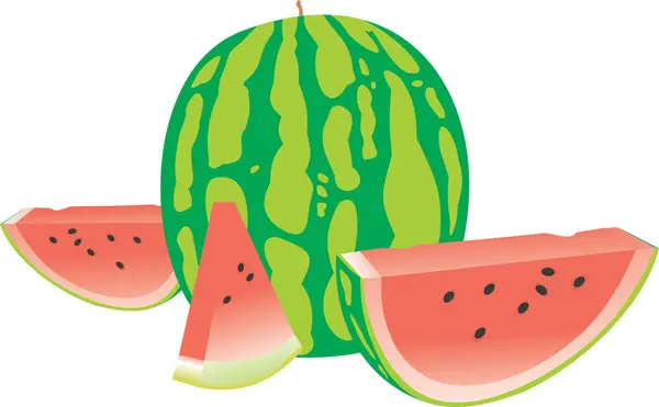 Zoete Watermeloen Vector Illustratie — Stockvector