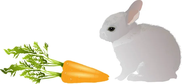 Rabbit Carrot Green Leaves — Stock Vector