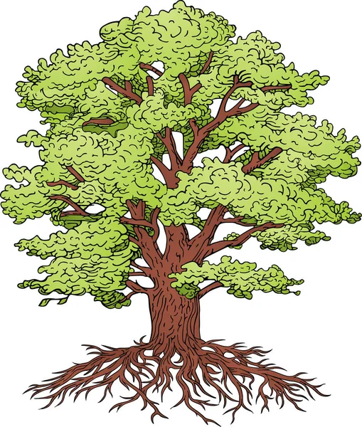 Cartoon Illustration Big Tree — Stock Vector