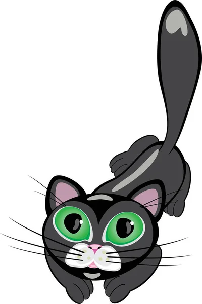 Schwarze Katze Mit Grünen Augen Abbildung — Stockvektor