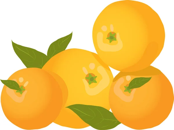 Векторная Иллюстрация Апельсинов Белом Фоне — стоковый вектор