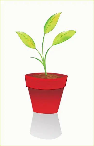 Зеленое Растение Горшке Листьями — стоковый вектор