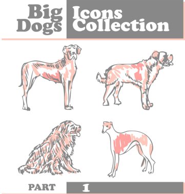 Farklı cinsten köpekler, vektör illüstrasyonu