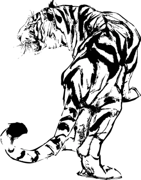 Тигр Білому Тлі Векторні Ілюстрації — стоковий вектор