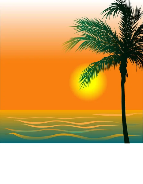 Sunset Sea Tree Vector Illustration — Stock Vector