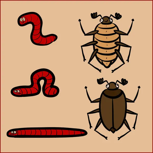 Ensemble Vectoriel Insectes — Image vectorielle