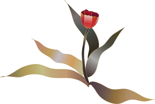 白い背景に美しいチューリップの花 — ストックベクタ