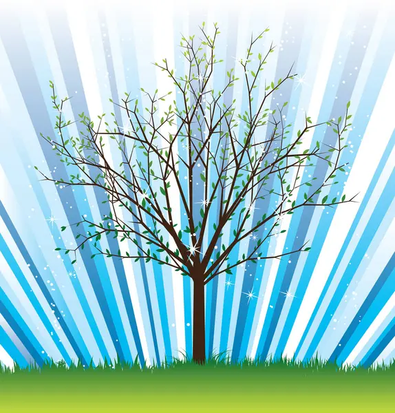 Vektorillustration Des Frühlingsbaums — Stockvektor