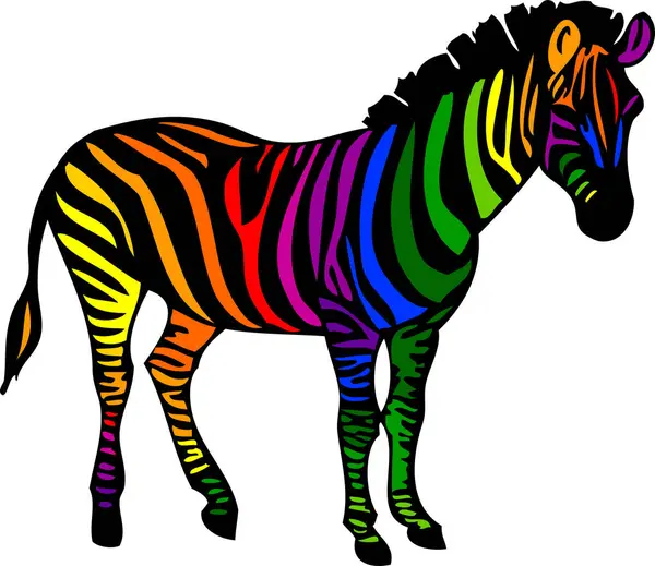 Barevné Zebra Vektorové Ilustrace Izolované Bílém Pozadí — Stockový vektor