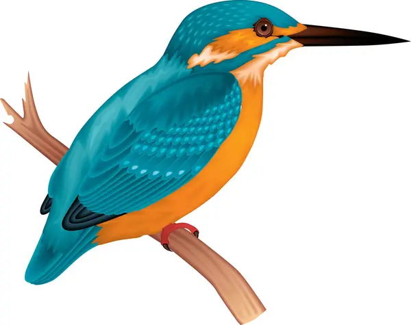 Птах Гілці Векторні Ілюстрації — стоковий вектор