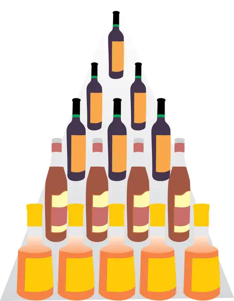Alcohol Drinks Bottle — Stock Vector