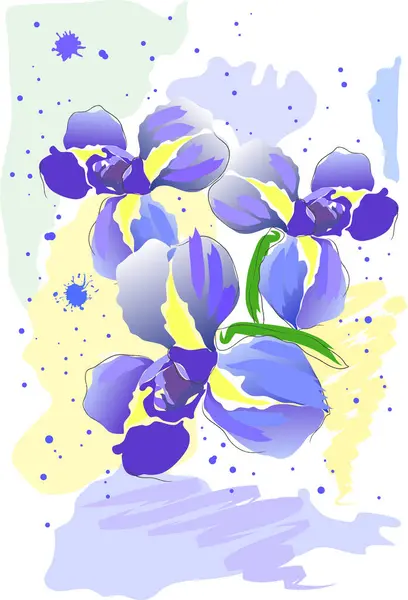 Belas Flores Íris Ilustração Aquarela — Vetor de Stock