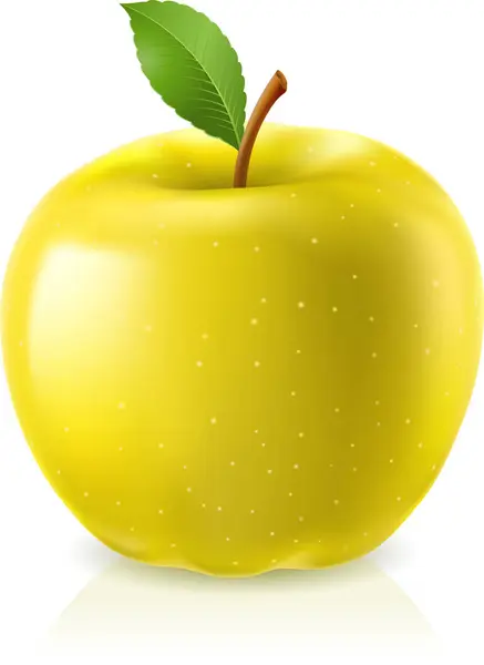 Realistische Apfel Isoliert Auf Weißem Hintergrund Vektorillustration — Stockvektor